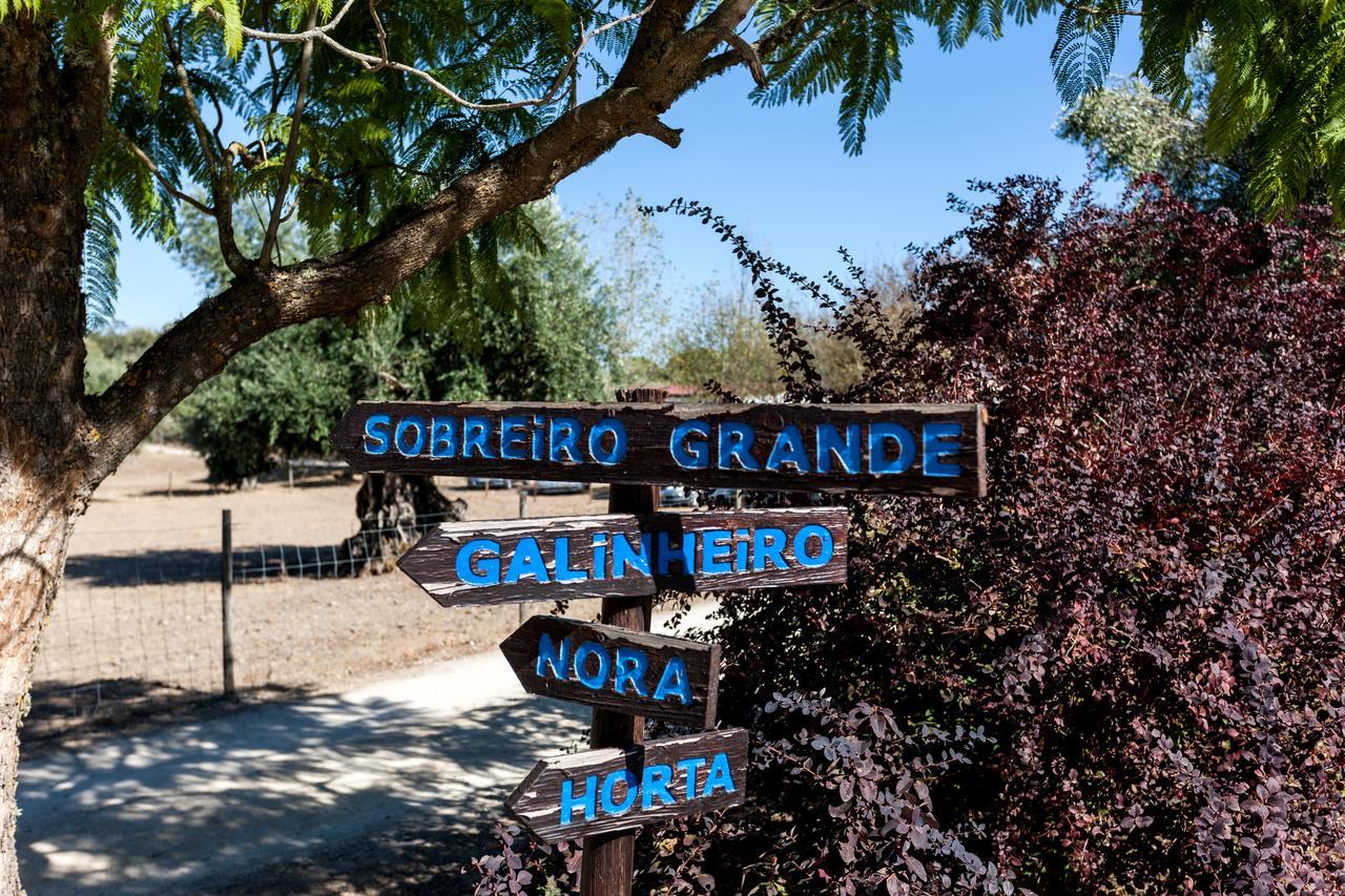 Monte Do Serrado De Baixo ايفورا المظهر الخارجي الصورة
